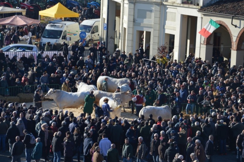 A Moncalvo tornano la Fiera Nazionale di Sua Maestà il Bue Grasso e la Sagra del Bollito